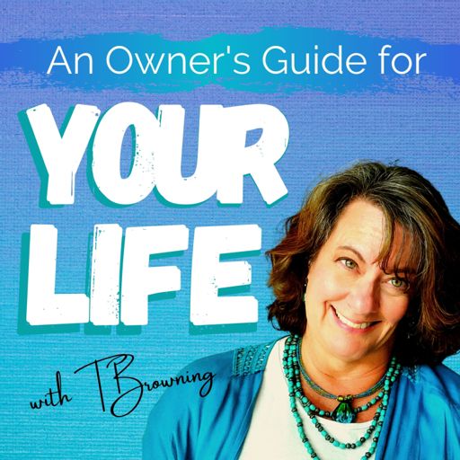 Cover art for podcast An Owner's Guide for Your Life