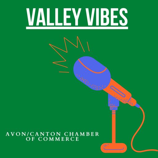Cover art for podcast Valley Vibes