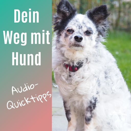 Dein Weg - Podcast on RadioPublic
