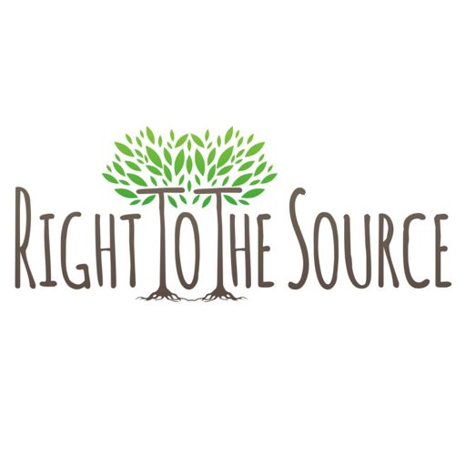 Cover art for podcast Right To The Source