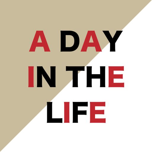 Cover art for podcast A Day In The Life