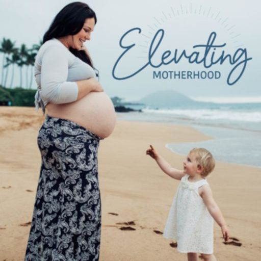 Cover art for podcast Elevating Motherhood
