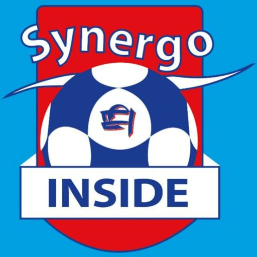 Cover art for podcast Synergo Inside