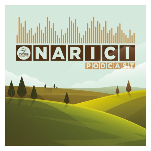 Cover art for podcast ONARICI