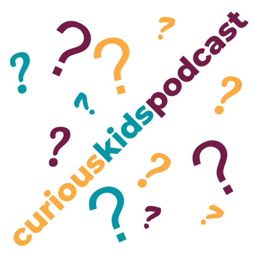 Cover art for podcast Curious Kids Podcast