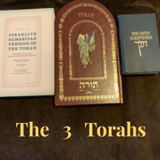 Cover art for podcast The 3 Torah's