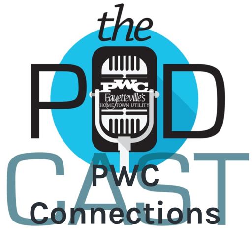 Cover art for podcast PWC Connections: The Podcast