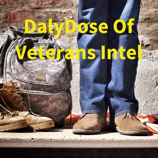 Cover art for podcast DalyDose Of Veterans Intel