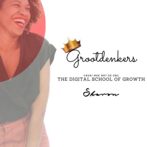 Cover art for podcast Grootdenkers - The Digital school of Growth