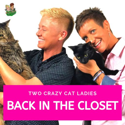 Cover art for podcast Back In The Closet - Two Crazy Cat Ladies 