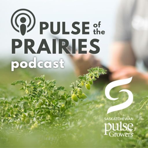 Cover art for podcast Pulse of the Prairies