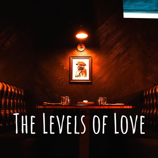 Cover art for podcast The Levels of Love Podcast