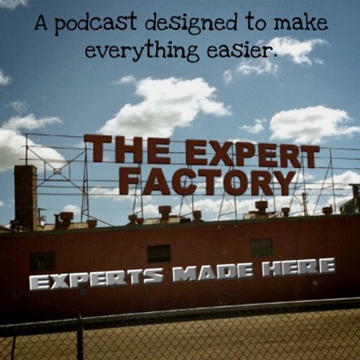 Cover art for podcast The Expert Factory
