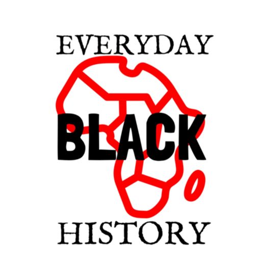 Cover art for podcast Everyday Black History: Afro Appreciation 