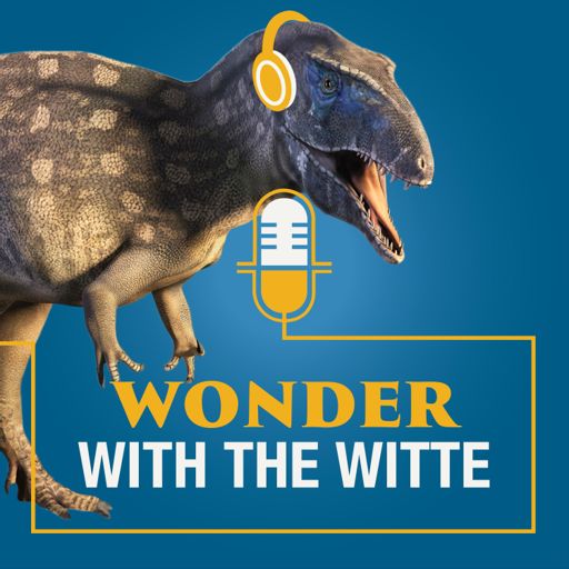 Cover art for podcast Wonder with the Witte