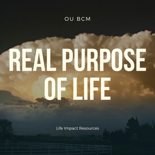 Cover art for podcast Real Purpose of Life
