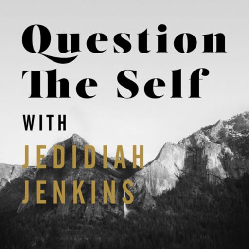 Cover art for podcast Question The Self