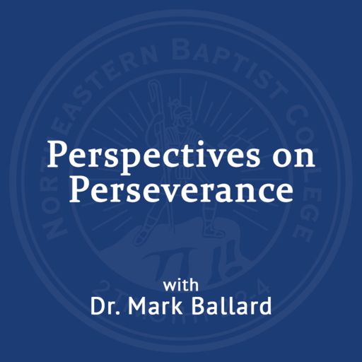 Cover art for podcast Perspectives on Perseverance