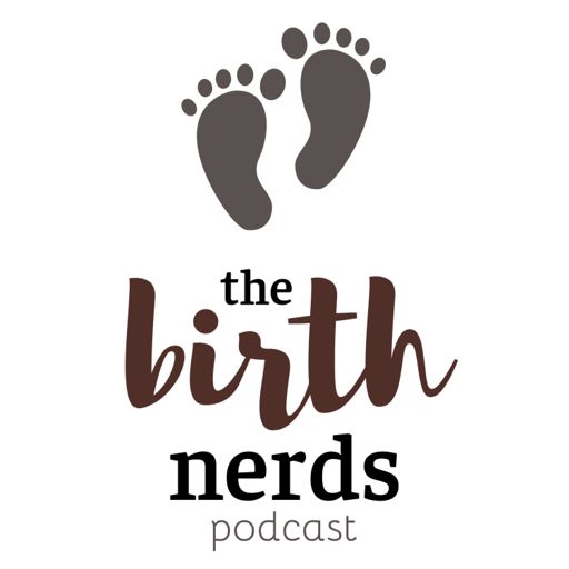 Cover art for podcast The Birth Nerds Podcast