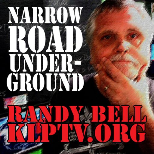 Cover art for podcast The Narrow Road Underground