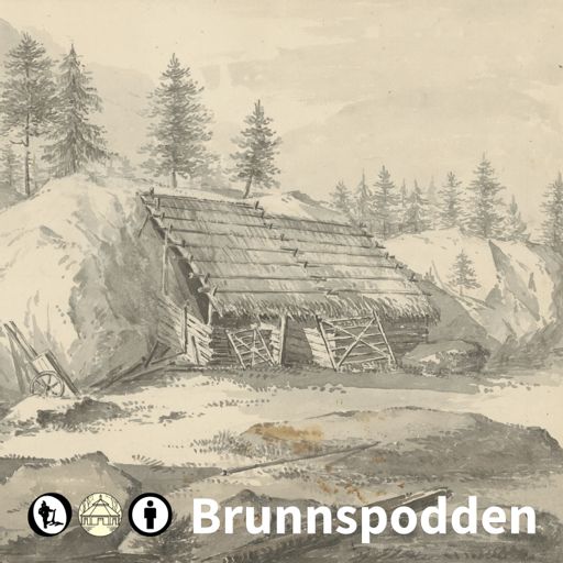 Cover art for podcast Brunnspodden: Museer och kulturarv