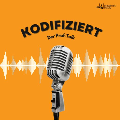 Cover art for podcast Kodifiziert - Der Prof Talk
