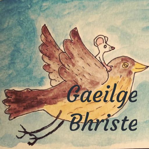 Cover art for podcast Gaeilge Bhriste