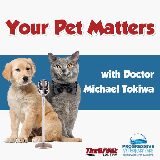 Cover art for podcast Your Pet Matters(Official 107.7 The Bronc Podcast)