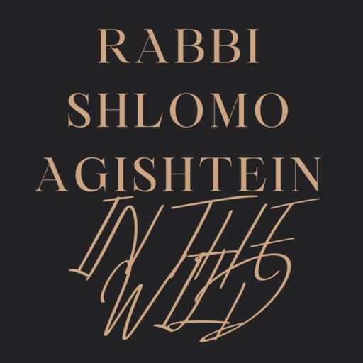 Cover art for podcast Rabbi Agishtein In The Wild