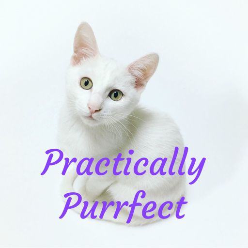 Cover art for podcast Practically Purrfect