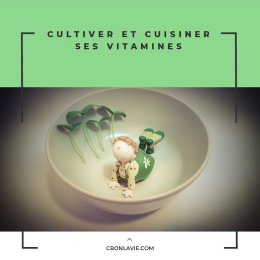 Cover art for podcast Cultiver et cuisiner ses vitamines