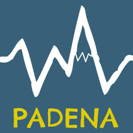 Cover art for podcast Radio Padena | رادیو پادنا