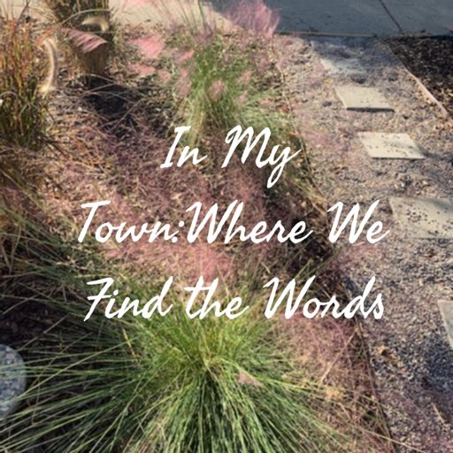 Cover art for podcast In My Town:
Where We Find the Words