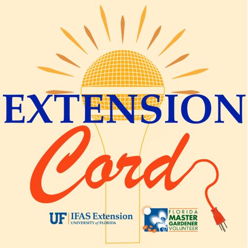 Cover art for podcast Extension Cord