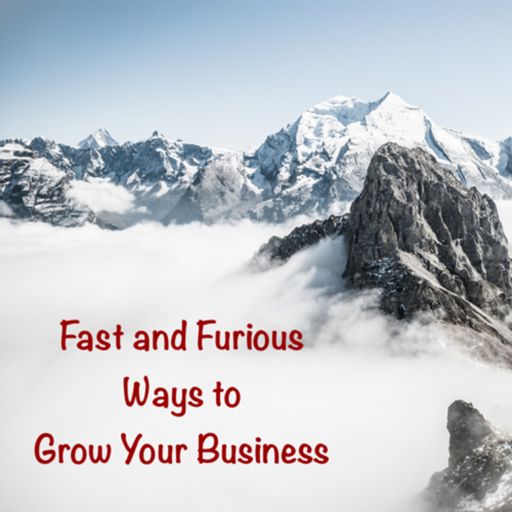 Cover art for podcast Fast and Furious Ways to Grow Your Business