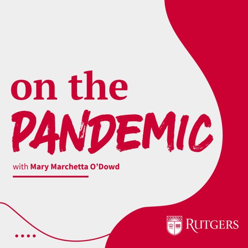 Cover art for podcast On The Pandemic