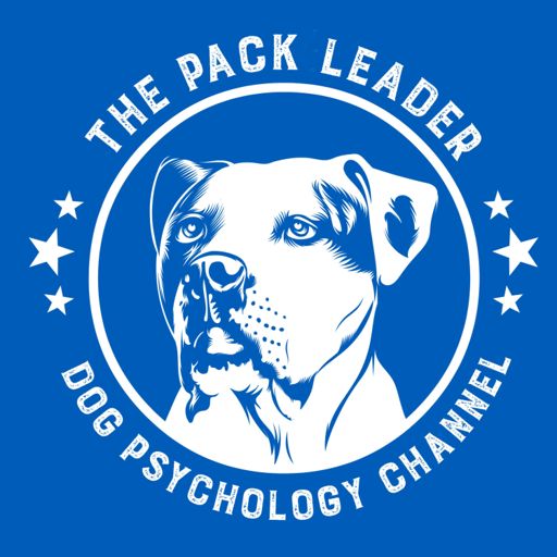 do dogs need a pack leader