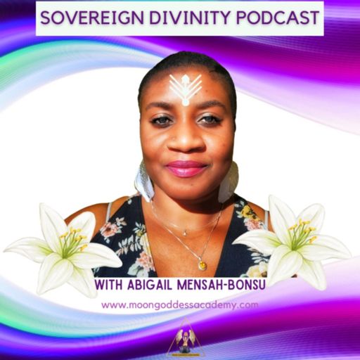 Cover art for podcast Sovereign Divinity Podcast