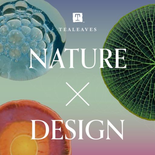 Cover art for podcast Nature X Design | A TEALEAVES Podcast