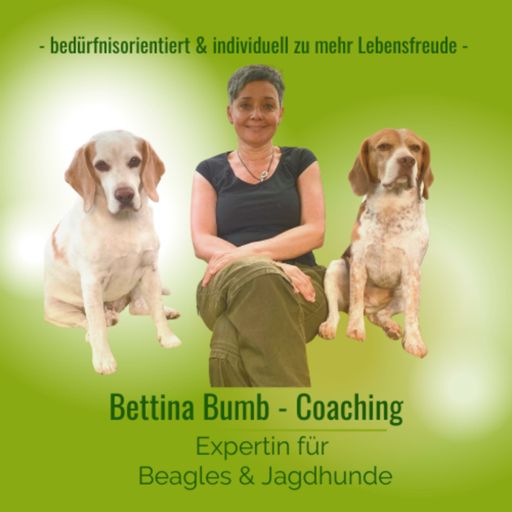 Cover art for podcast Bettina Bumb Coach für Menschen mit Beagles & Jagd(familien)hunden