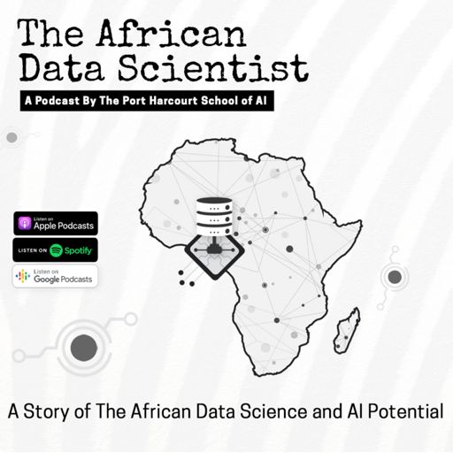 Cover art for podcast The African Data Scientist