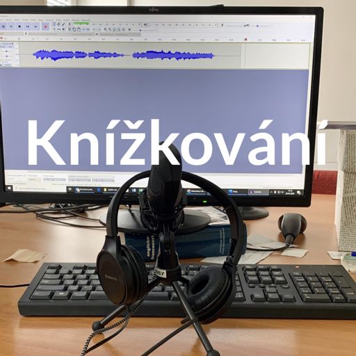 Cover art for podcast Knížkování 
