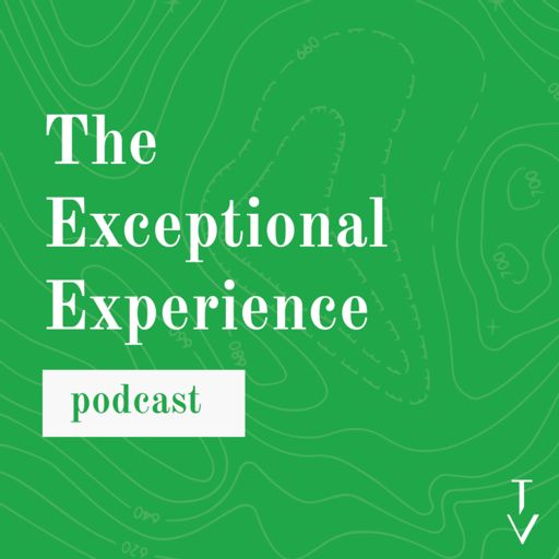 Cover art for podcast The Exceptional Experience