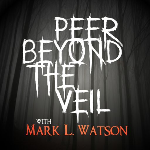 Cover art for podcast Peer Beyond The Veil