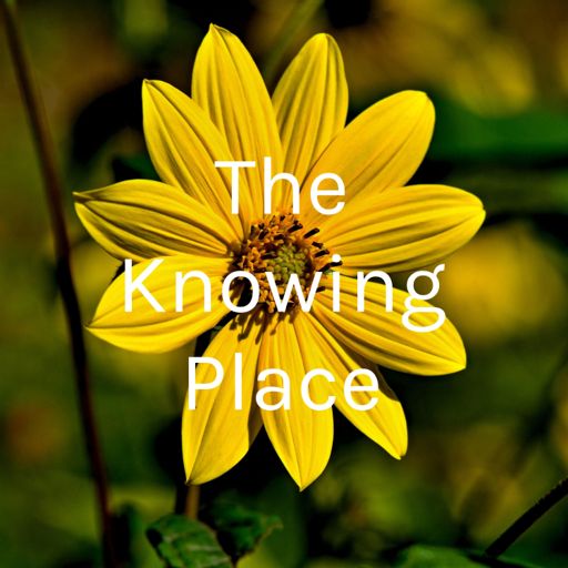 Cover art for podcast The Knowing Place