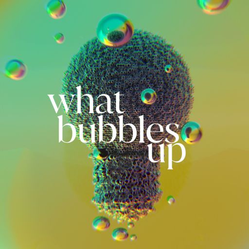 Cover art for podcast What Bubbles Up