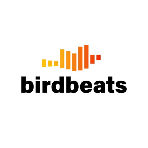 Cover art for podcast Birdbeats - der Podcast für Ornis
