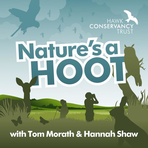 Cover art for podcast Nature's a Hoot