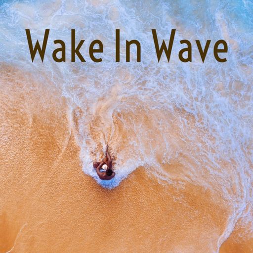 Cover art for podcast Wake In Wave