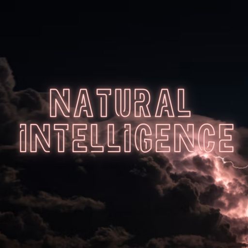 Cover art for podcast The Natural Intelligence Podcast